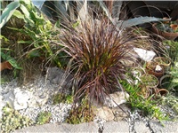 e5b28bb4-2016-07-27 07.35.32.jpg